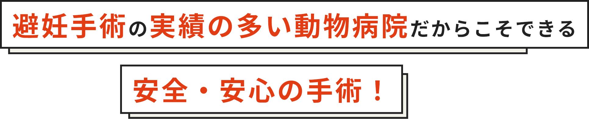 避妊手術の専門の動物病院だからこそできる安全・安心の手術！