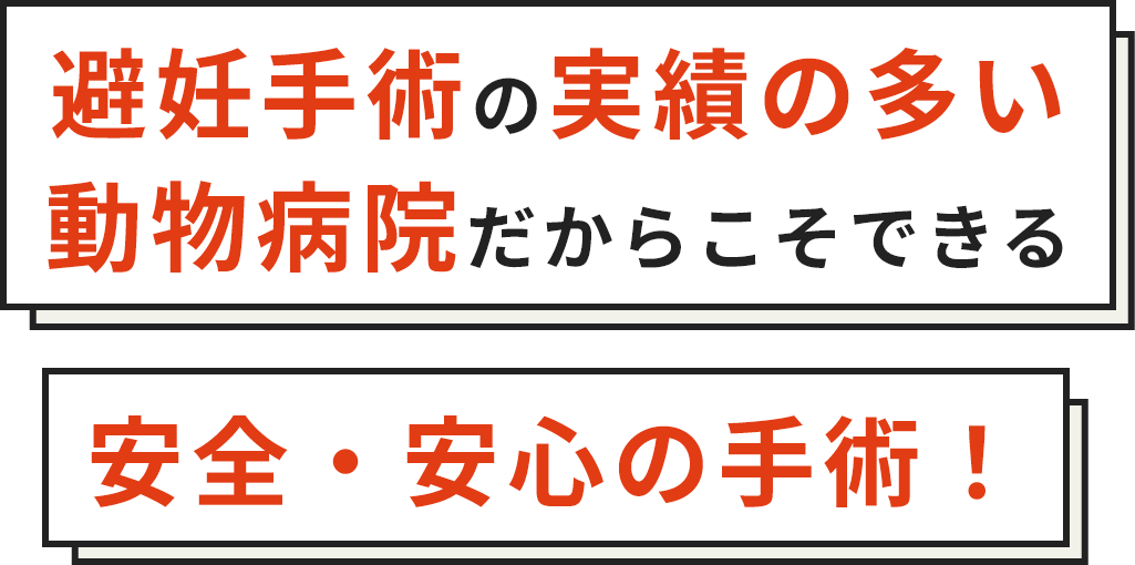 避妊手術の専門の動物病院だからこそできる安全・安心の手術！